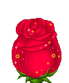 fleur ou chou ?