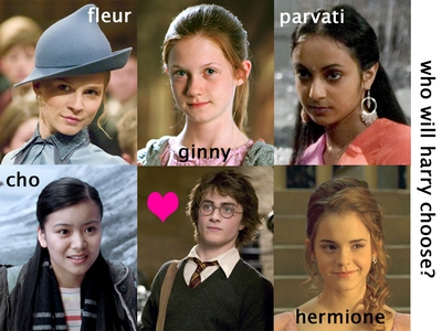 WHO WILL HARRY CHOOSE??????