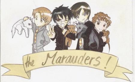 the maraudeurs
